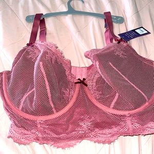 NWT Cacique Mauvey Pink Bra